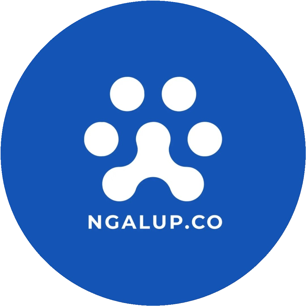 Ngalup.co Collaborative Hub